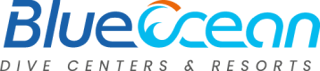 Blue Ocean Website Logo